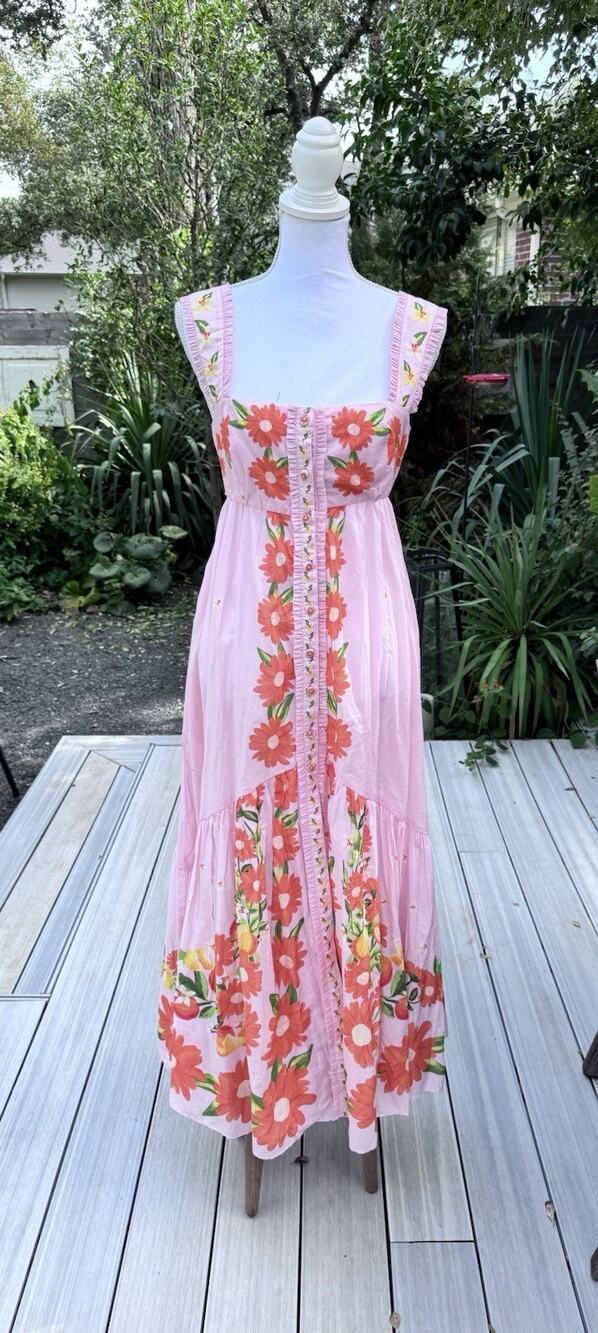 FARM Rio Pink Papaya Salad Maxi Dress Small Floral Embroidered Ruffle NWOT